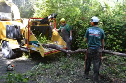 tree services Winslow West